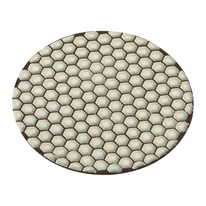 FLEX – DP 3000 DRY D125–  Diamantový brusný pad 