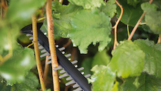 Akumulátorové nůžky na živé ploty UniversalHedgeCut 18V-55