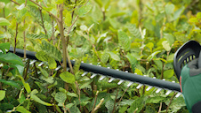 Akumulátorové nůžky na živé ploty UniversalHedgeCut 18V-50