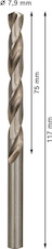 Vrták do kovu PRO Metal HSS-G standardní délky, 7,9 × 75 × 117 mm, 10 ks