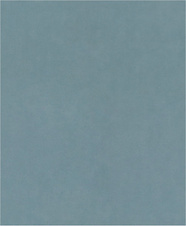 Brusný papír PRO C344 wet and dry pro ruční broušení, 230 × 280 mm, G1000, 100 ks