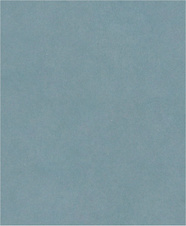 Brusný papír PRO C344 wet and dry pro ruční broušení, 230 × 280 mm, G2000, 100 ks
