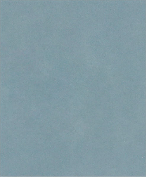 Brusný papír PRO C344 wet and dry pro ruční broušení, 230 × 280 mm, G2500, 100 ks