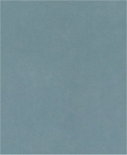 Brusný papír PRO C344 wet and dry pro ruční broušení, 230 × 280 mm, G1000, 100 ks