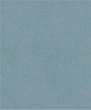 Brusný papír PRO C344 wet and dry pro ruční broušení, 230 × 280 mm, G2000, 100 ks