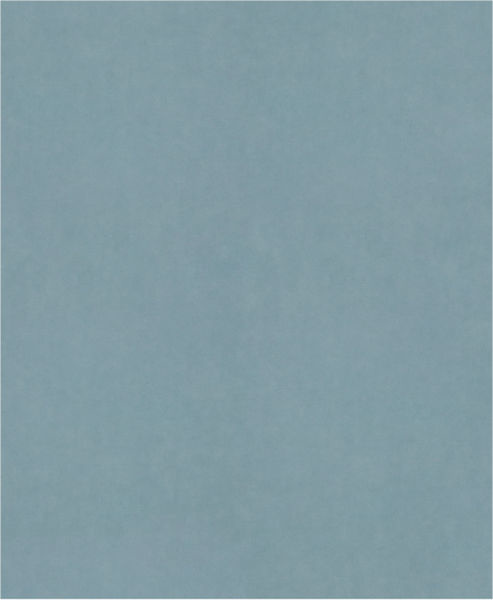 Brusný papír PRO C344 wet and dry pro ruční broušení, 230 × 280 mm, G2500, 100 ks