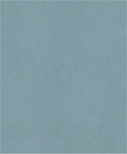 Brusný papír PRO C344 wet and dry pro ruční broušení, 230 × 280 mm, G2500, 100 ks