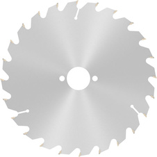 Pilový kotouč PRO Wood pro okružní pilu, 200 × 2,8 × 30 mm, T24