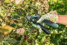Bosch EasyPrune - Akumulátorové zahradní nůžky - getCachedImage (35)